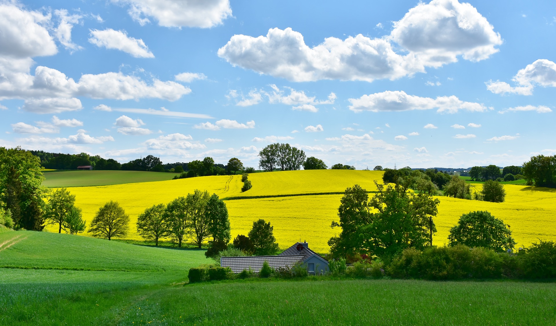 How Does Weather Affect Your Pest Problem?
