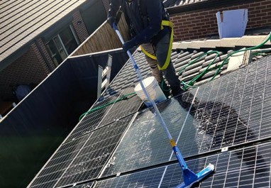 Solar Panel Cleaning