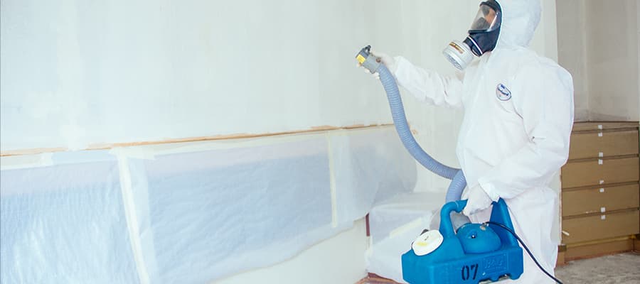 What To Expect After A Pest Control Treatment Service?